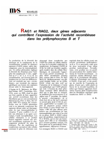 qu1 RAG1 et RAG2, deux gènes adjacents contrôlent - iPubli