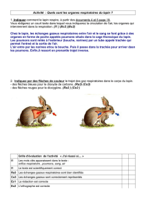 Activité : Quels sont les organes respiratoires du lapin ? 1. Indi quez