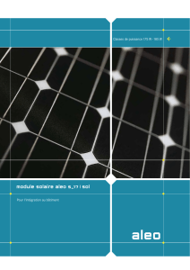 module solaire aleo s_17 | sol