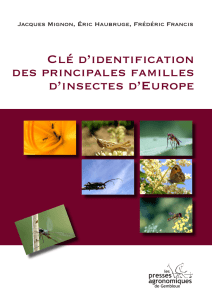 Clé d`identification des principales familles d`insectes d - ORBi