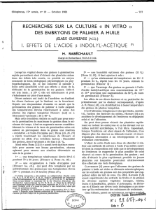 Recherches sur la culture "in vitro" des embryons de palmier à huile