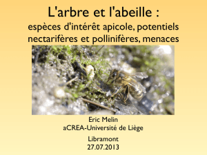 espèces d`intérêt apicole, potentiels nectarifères et pollinifères