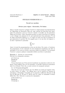 Université Bordeaux 1 Algèbre et calcul formel – Master