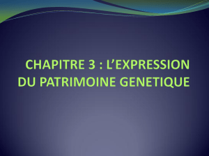 chapitre 3 : l`expression du patrimoine genetique