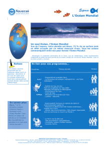 "L`Océan Mondial - Un seul océan" au format PDF