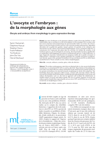L`ovocyte et l`embryon : de la morphologie aux gènes