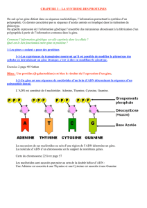 Chapitre 3-La synthèse des protéines