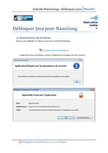 Activité NanoGong : débloquer Java