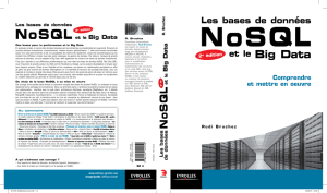 Les bases de données NoSQL et le Big Data