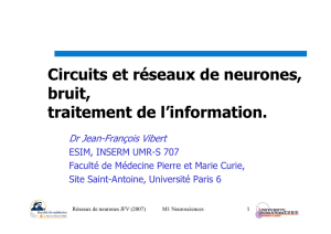 Circuits et r&eacute;seaux de neurone, bruit, traitement de l