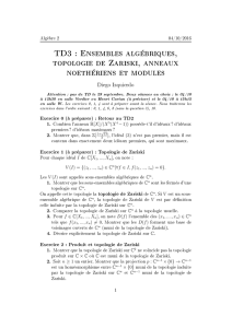 TD3 : Ensembles algébriques, topologie de Zariski, anneaux