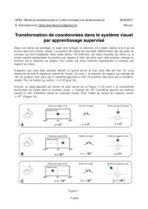 Sujet 8. Transformation de coordonnées dans le système visuel par