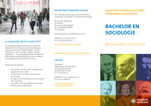 bachelor en sociologie