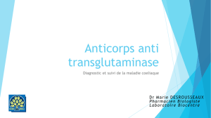 Anticorps anti transglutaminase