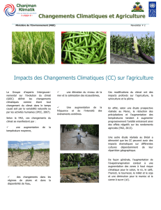 Changements Climatiques et Agriculture