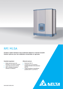 RPI M15A - Delta Energy Systems