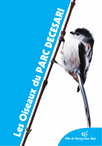Les Oiseaux du PARC DECESARI - Le développement durable à