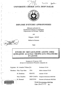 Etude du métabolisme azoté chez quelques acacias tropicaux