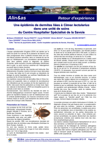 Une épidémie de dermites liées à Cimex lectularius - CClin Sud-Est