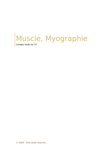 Muscle, Myographie