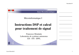 Instructions DSP et calcul pour traitement de signal