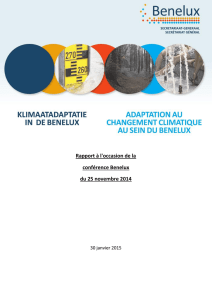 Rapport à l`occasion de la conférence Benelux du 25 novembre 2014