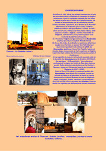 Tlemcen : La Citadelle (ruines) Intérieur d`une maison L