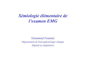 Sémiologie élémentaire de Sémiologie élémentaire de l`examen EMG