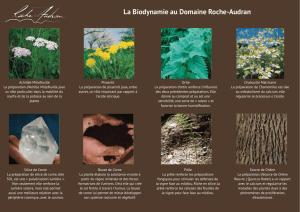 La Biodynamie au Domaine Roche-Audran