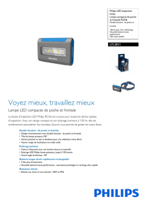 Leaflet LPL38X1 Released France (French) High-res A4.fm