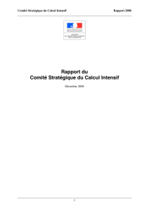 Rapport du Comité Stratégique du Calcul Intensif
