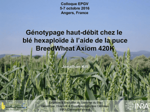 High-throughput genotyping in hexaploid wheat using the