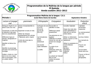 PROGRAMMATION Maîtrise de la langue CE1 PDF