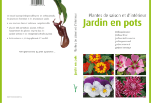 laurentgraff.ch - JARDIN EN POTS