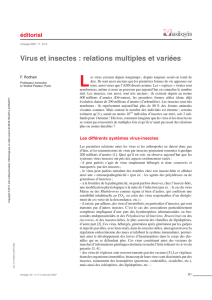 Virus et insectes : relations multiples et variées
