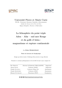 Université Pierre et Marie Curie La lithosphère du point triple Aden