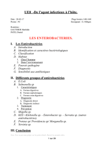 P2-UE8-Entérobactéries