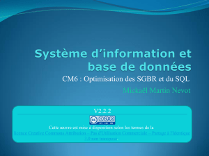 CM6 : Optimisation des SGBDR et du SQL - Mickaël Martin
