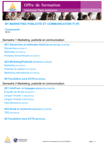 M1 MARKETING PUBLICITE ET COMMUNICATION FI (P) Semestre