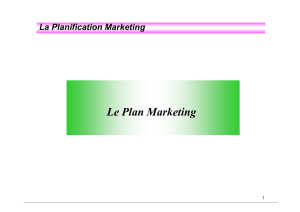 pp plan marketing SWOT PESTE