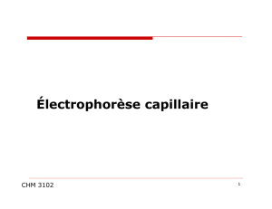 Électrophorèse capillaire