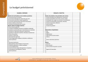 Budget_prÃ©visionnel..