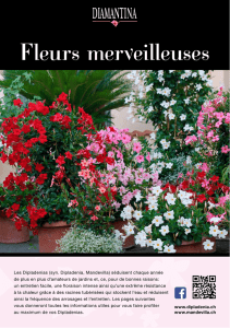 Fleurs merveilleuses