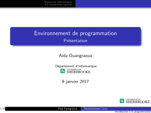 Environnement de programmation - h2017-cqp112