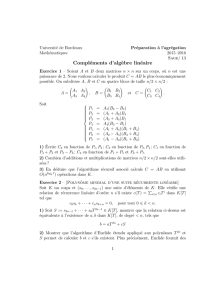 Compléments d`algèbre linéaire - Institut de Mathématiques de