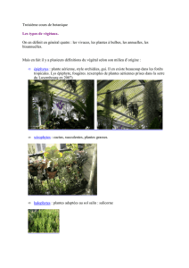 Troisième cours de botanique