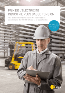 Industrie Plus, basse tension 2017