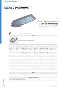 Luminaire LED routier fonctionnel idéal pour une