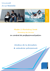 Université de La Rochelle DRO IT - IAE Master 2 Marketing Vente