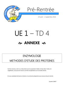 UE 1 – TD 4 - tutoratparis12